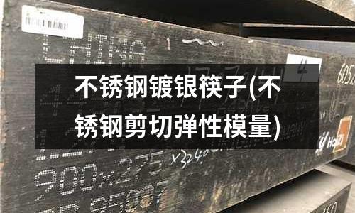 不銹鋼鍍銀筷子(不銹鋼剪切彈性模量)