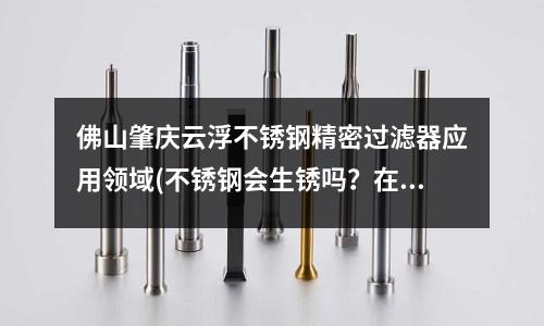 佛山肇慶云浮不銹鋼精密過濾器應用領域(不銹鋼會生銹嗎?在什么情況下易生銹)