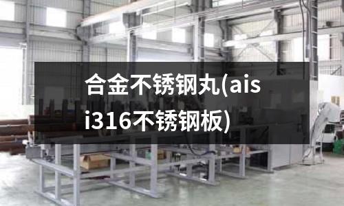 合金不銹鋼丸(aisi316不銹鋼板)