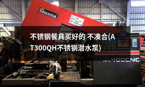 不銹鋼餐具買好的 不湊合(AT300QH不銹鋼潛水泵)