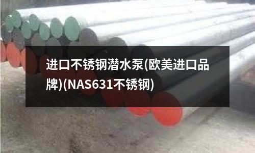 進(jìn)口不銹鋼潛水泵(歐美進(jìn)口品牌)(NAS631不銹鋼)