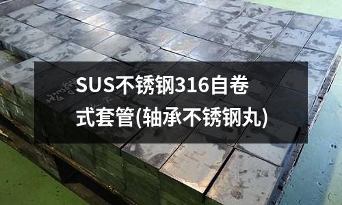 SUS不銹鋼316自卷式套管(軸承不銹鋼丸)