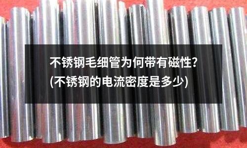 不銹鋼毛細管為何帶有磁性?(不銹鋼的電流密度是多少)