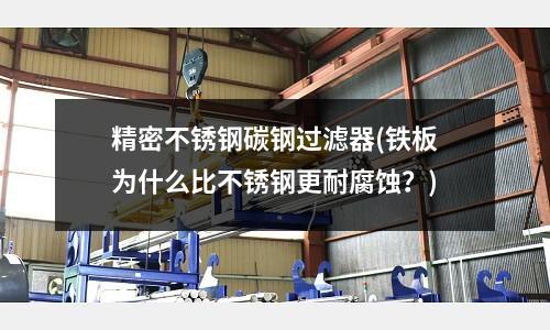 精密不銹鋼碳鋼過(guò)濾器(鐵板為什么比不銹鋼更耐腐蝕?)