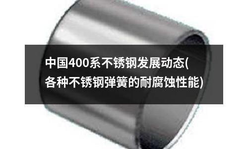 中國400系不銹鋼發展動態(各種不銹鋼彈簧的耐腐蝕性能)