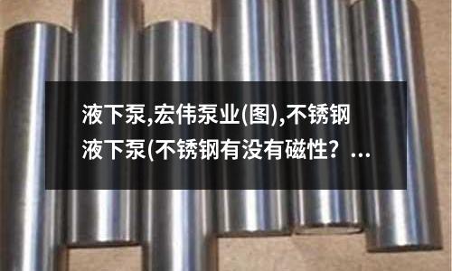 液下泵,宏偉泵業(圖),不銹鋼液下泵(不銹鋼有沒有磁性？)