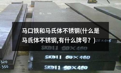 馬口鐵和馬氏體不銹鋼(什么是馬氏體不銹鋼,有什么牌號？)