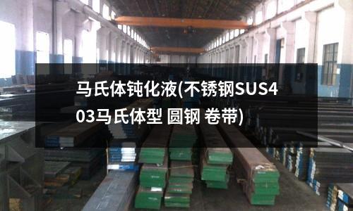 馬氏體鈍化液(不銹鋼SUS403馬氏體型 圓鋼 卷帶)