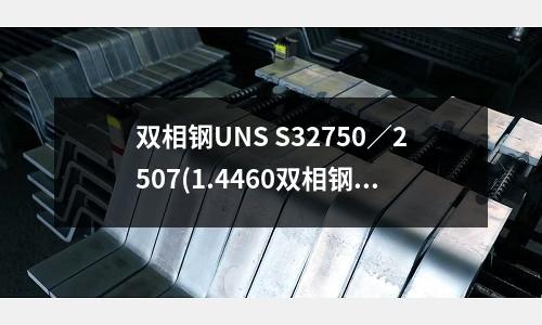 雙相鋼UNS S32750/2507(1.4460雙相鋼板材 不銹鋼法蘭)