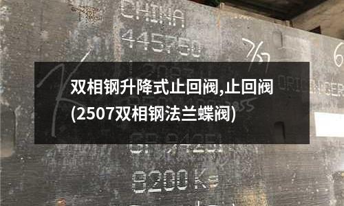 雙相鋼升降式止回閥,止回閥(2507雙相鋼法蘭蝶閥)