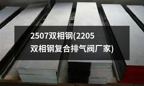 2507雙相鋼(2205雙相鋼復(fù)合排氣閥廠家)