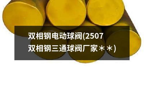 雙相鋼電動球閥(2507雙相鋼三通球閥廠家＊＊)