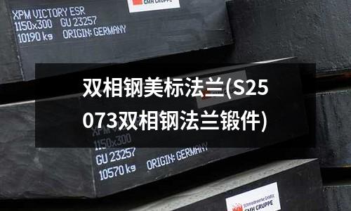 雙相鋼美標(biāo)法蘭(S25073雙相鋼法蘭鍛件)