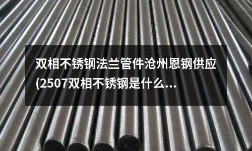 雙相不銹鋼法蘭管件滄州恩鋼供應(2507雙相不銹鋼是什么材質)
