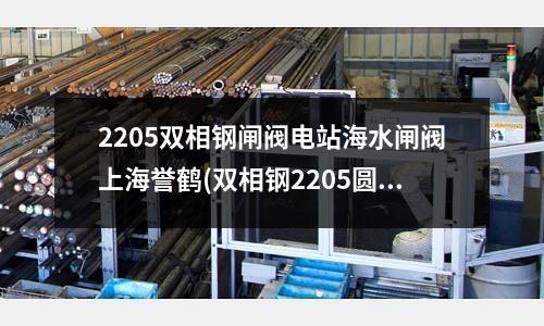 2205雙相鋼閘閥電站海水閘閥上海譽鶴(雙相鋼2205圓鋼/鋼板)