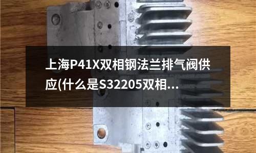 上海P41X雙相鋼法蘭排氣閥供應(什么是S32205雙相鋼)