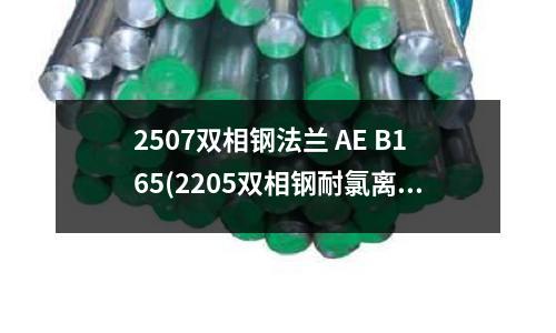 2507雙相鋼法蘭 AE B165(2205雙相鋼耐氯離子濃度)