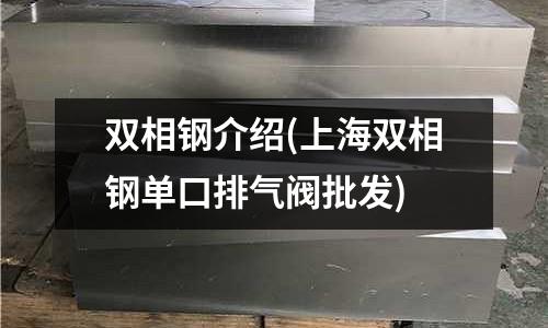 雙相鋼介紹(上海雙相鋼單口排氣閥批發)