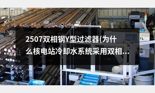 2507雙相鋼Y型過濾器(為什么核電站冷卻水系統采用雙相不銹鋼？)
