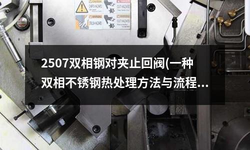 2507雙相鋼對(duì)夾止回閥(一種雙相不銹鋼熱處理方法與流程)