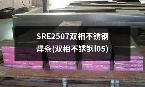 SRE2507雙相不銹鋼焊條(雙相不銹鋼l05)