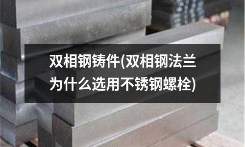 雙相鋼鑄件(雙相鋼法蘭為什么選用不銹鋼螺栓)