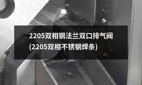 2205雙相鋼法蘭雙口排氣閥(2205雙相不銹鋼焊條)