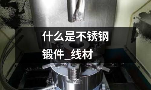 什么是不銹鋼鍛件_線材