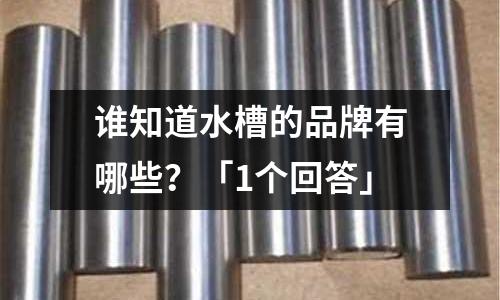 誰知道水槽的品牌有哪些？「1個回答」