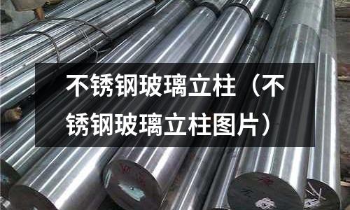 不銹鋼玻璃立柱(不銹鋼玻璃立柱圖片)