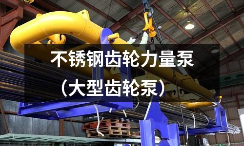 不銹鋼齒輪力量泵(大型齒輪泵)