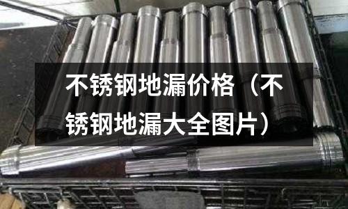 不銹鋼地漏價格（不銹鋼地漏大全圖片）