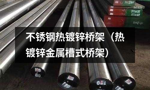 不銹鋼熱鍍鋅橋架（熱鍍鋅金屬槽式橋架）