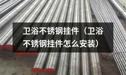 衛(wèi)浴不銹鋼掛件(衛(wèi)浴不銹鋼掛件怎么安裝)