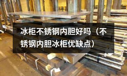 冰柜不銹鋼內(nèi)膽好嗎(不銹鋼內(nèi)膽冰柜優(yōu)缺點(diǎn))