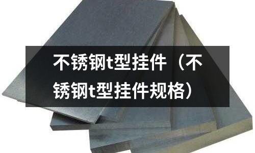 不銹鋼t型掛件(不銹鋼t型掛件規格)