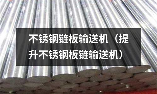 不銹鋼鏈板輸送機(提升不銹鋼板鏈輸送機)