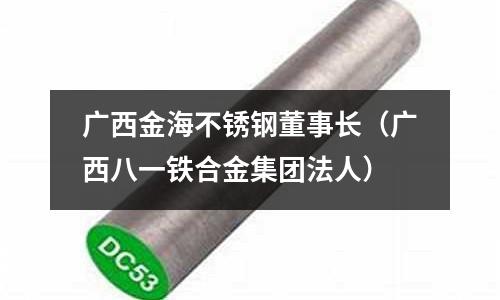 廣西金海不銹鋼董事長(廣西八一鐵合金集團法人)