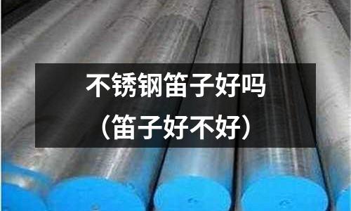 不銹鋼笛子好嗎(笛子好不好)