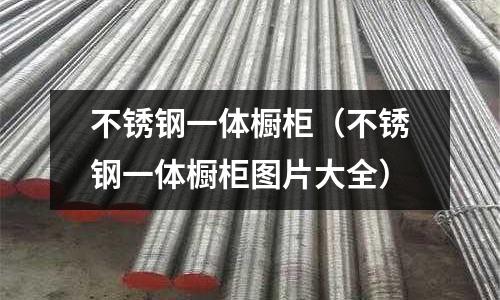 不銹鋼一體櫥柜(不銹鋼一體櫥柜圖片大全)