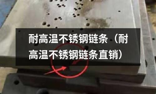 耐高溫不銹鋼鏈條(耐高溫不銹鋼鏈條直銷)