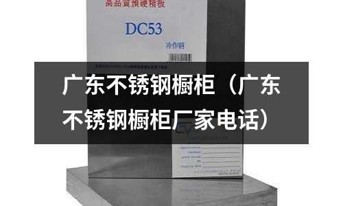 廣東不銹鋼櫥柜（廣東不銹鋼櫥柜廠家電話）