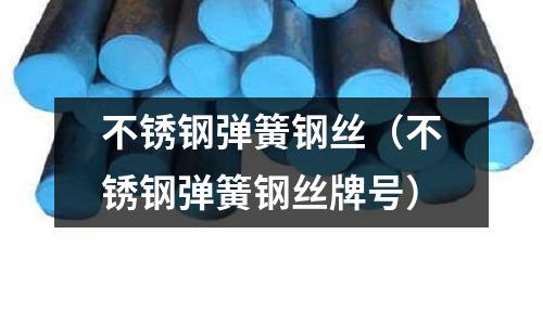 不銹鋼彈簧鋼絲（不銹鋼彈簧鋼絲牌號(hào)）