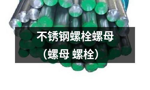 不銹鋼螺栓螺母(螺母 螺栓)