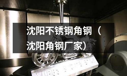 沈陽不銹鋼角鋼(沈陽角鋼廠家)