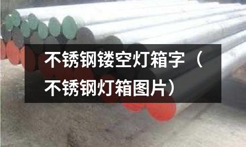 不銹鋼鏤空燈箱字（不銹鋼燈箱圖片）