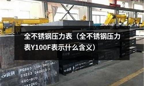 全不銹鋼壓力表（全不銹鋼壓力表Y100F表示什么含義）