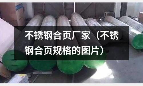 不銹鋼合頁廠家（不銹鋼合頁規格的圖片）