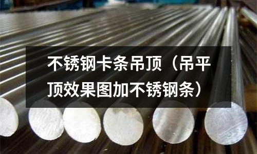 不銹鋼卡條吊頂(吊平頂效果圖加不銹鋼條)