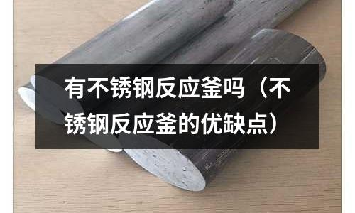 有不銹鋼反應(yīng)釜嗎(不銹鋼反應(yīng)釜的優(yōu)缺點)
